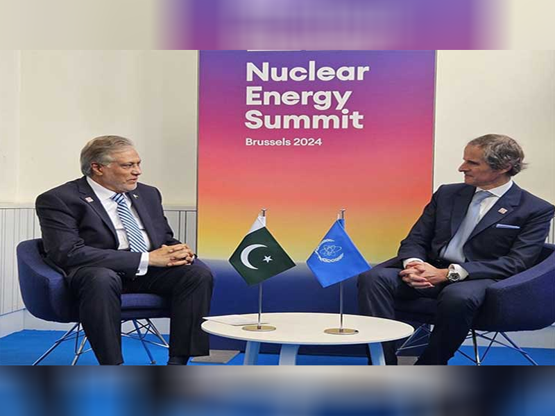 FM Dar, IAEA’s Grossi discuss issues related to nuclear energy FM Dar, IAEA’s Grossi discuss issues related to nuclear energy