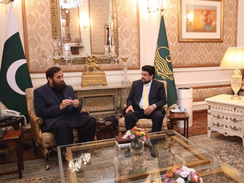Sindh, Punjab governors discuss political situation, matters of interest Sindh, Punjab governors discuss political situation, matters of interest
