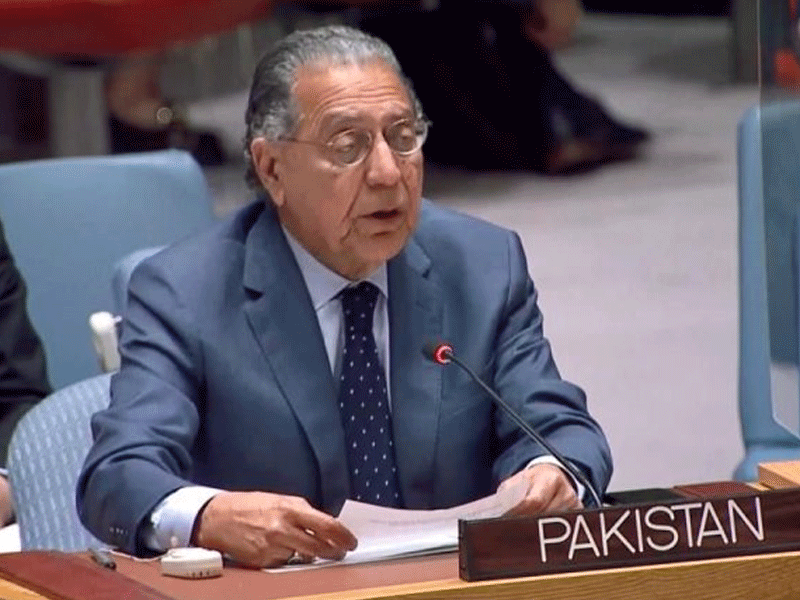 IIOJK’s freedom ‘primary aim’ of Pakistan at UN: Munir Akram IIOJK’s freedom ‘primary aim’ of Pakistan at UN: Munir Akram