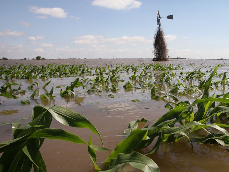 Agriculture most affected by flash floods Agriculture most affected by flash floods