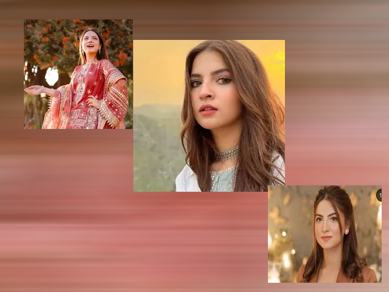 Dananeer’s cute video with Ahad Raza Mir goes viral Dananeer’s cute video with Ahad Raza Mir goes viral