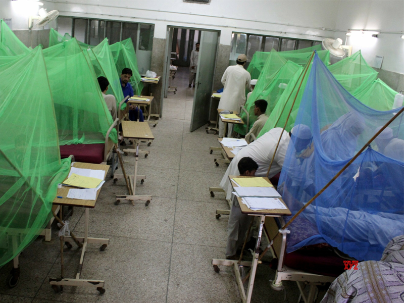 Karachi remains in grip of Dengue virus, 355 cases reported Karachi remains in grip of Dengue virus, 355 cases reported