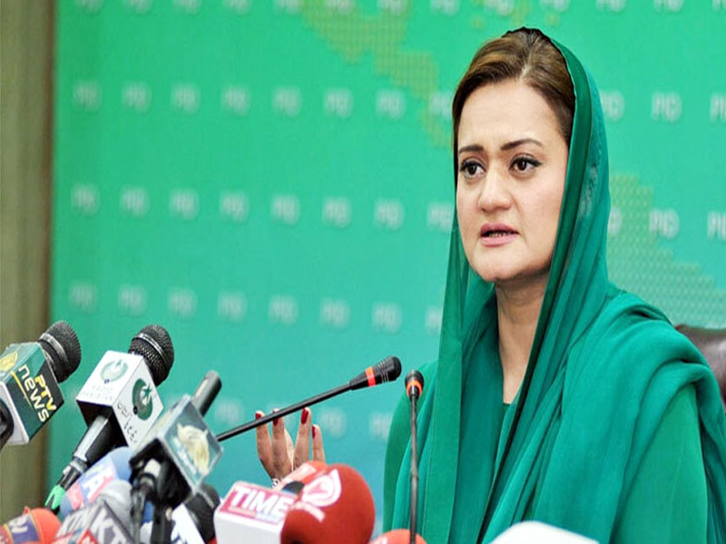 Electricity prices to drop monthly: Marriyum Electricity prices to drop monthly: Marriyum