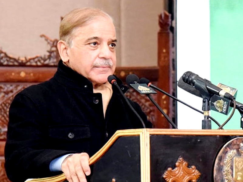 ‘PM Shehbaz forms 15-member national austerity committee’