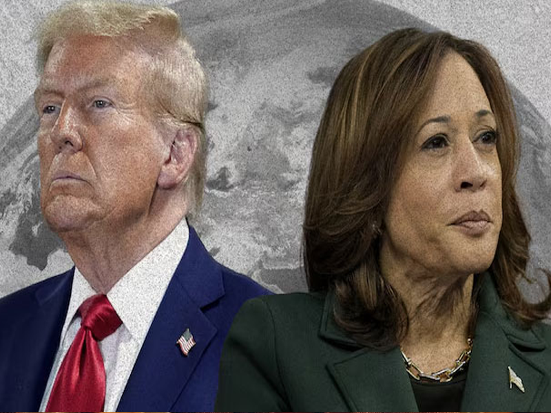 Two candidates, 244m voters, 7 swing states: US elections 2024 by numbers