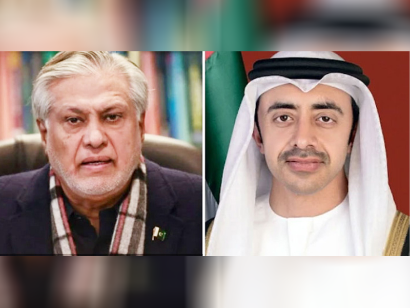 Ishaq Dar, UAE FM discuss sustained momentum of multi-tiered cooperation