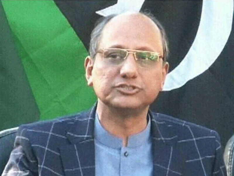Parties not digesting PPP’s victory in LG polls: Saeed Ghani Parties not digesting PPP’s victory in LG polls: Saeed Ghani