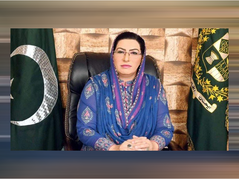 Firdous Awan's alleged video of misbehaving her maid | Daily National
