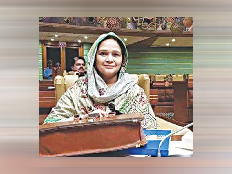 MQM-P's Ansar elected new opposition leader in Sindh Assembly