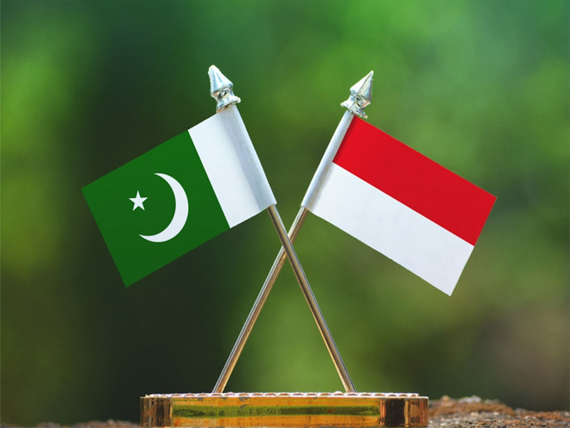 Indonesian Consulate hosts Indo-Pak workshop on Palm Oil 2025 Indonesian Consulate hosts Indo-Pak workshop on Palm Oil 2025