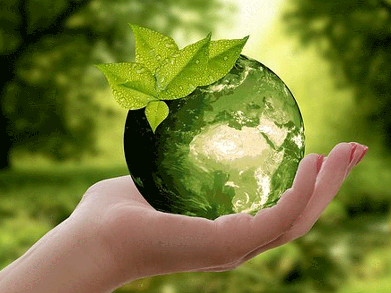 Earth Day significance for Pakistan