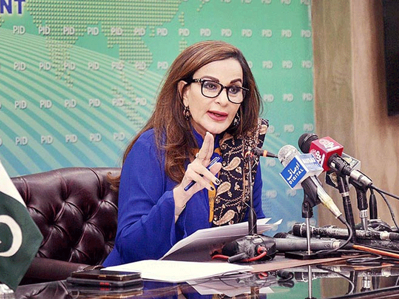Judiciary responsible for establishing full court bench on poll decision: Sherry