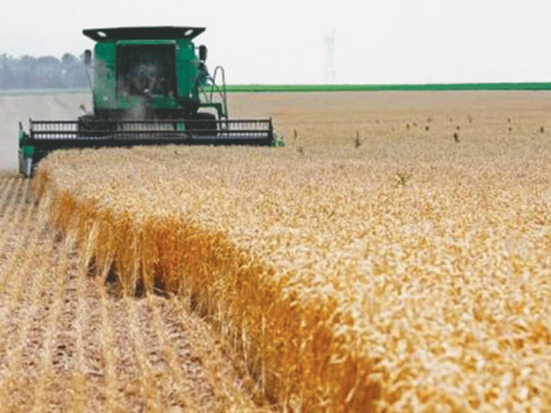 Time to focus on corporate farming