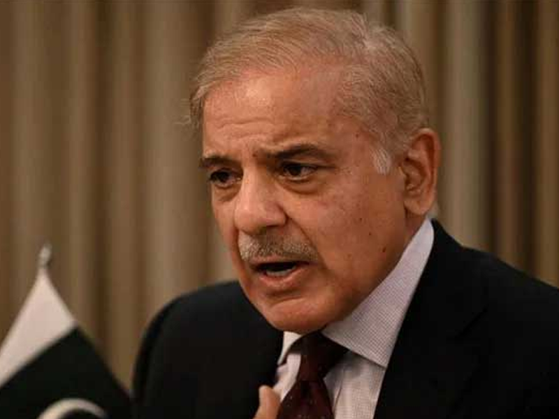 PM Shehbaz forms body to review climate change governance, funds