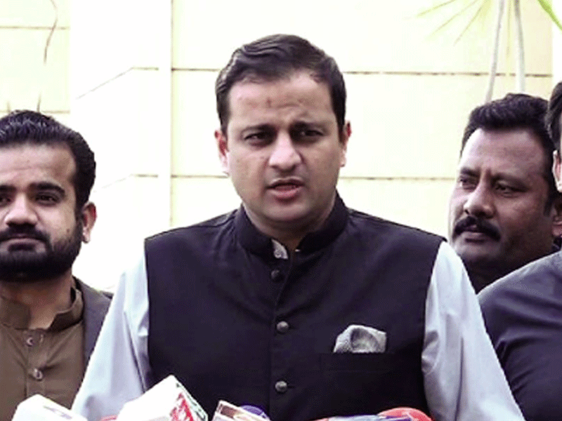 ECP decision for LG polls to be placed before Sindh Cabinet: Murtaza Wahab