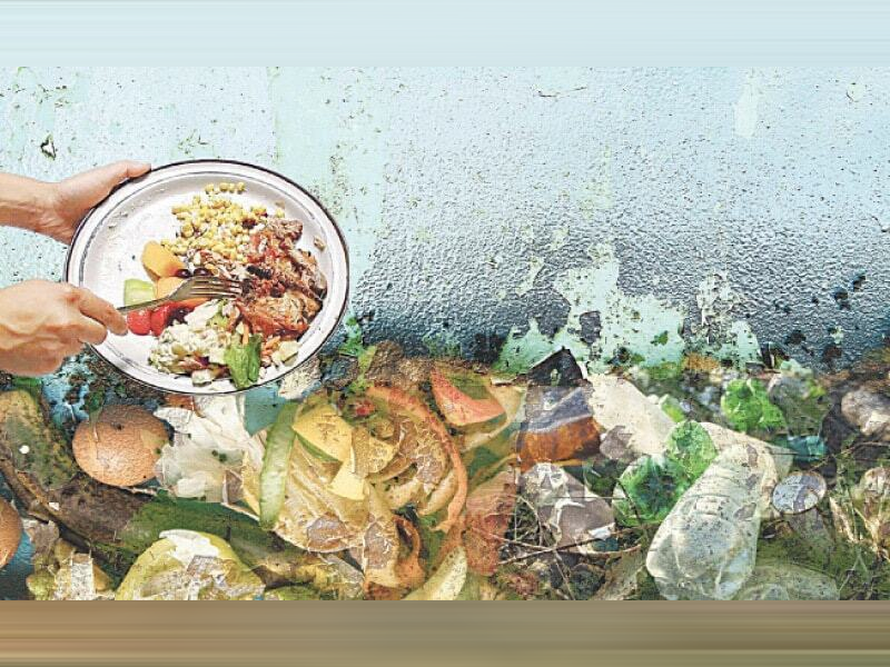 Tackling food waste, a grassroots effort in Sindh Tackling food waste, a grassroots effort in Sindh