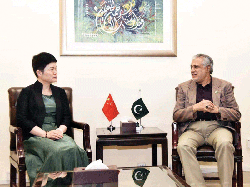 Chinese Charge d’Affaires, Ishaq Dar discuss economic ties