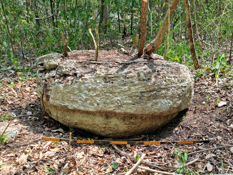 Ancient Maya city discovered in Mexican jungle Ancient Maya city discovered in Mexican jungle
